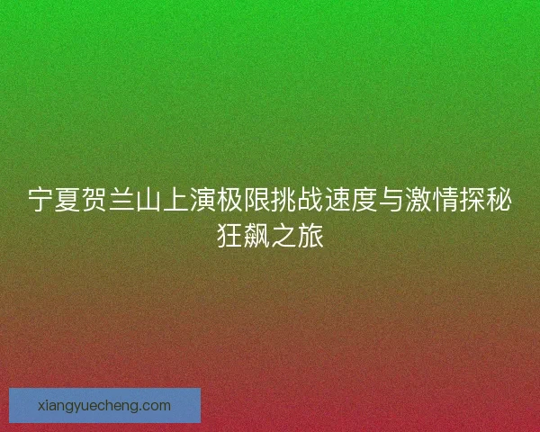 宁夏贺兰山上演极限挑战速度与激情探秘狂飙之旅